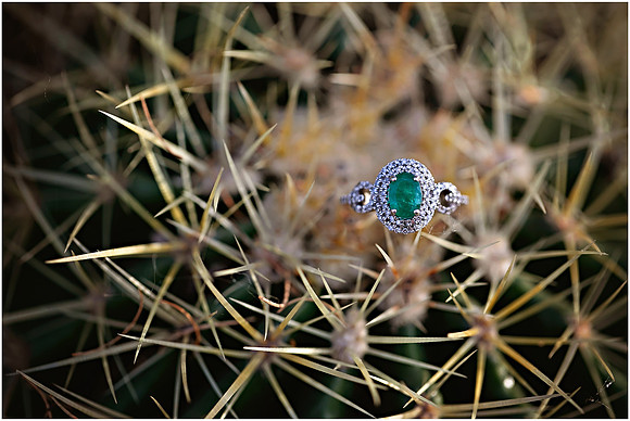 Riparian Preserve Engagement